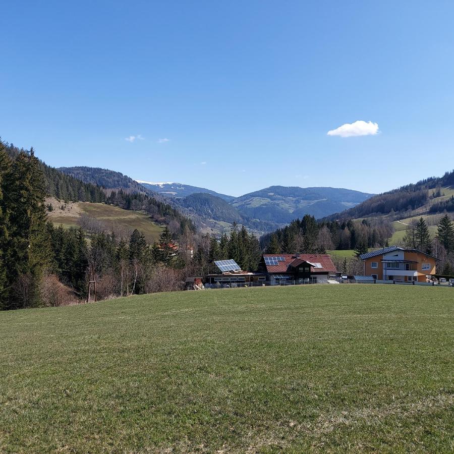 Greimblick Apartment Sankt Peter am Kammersberg Luaran gambar
